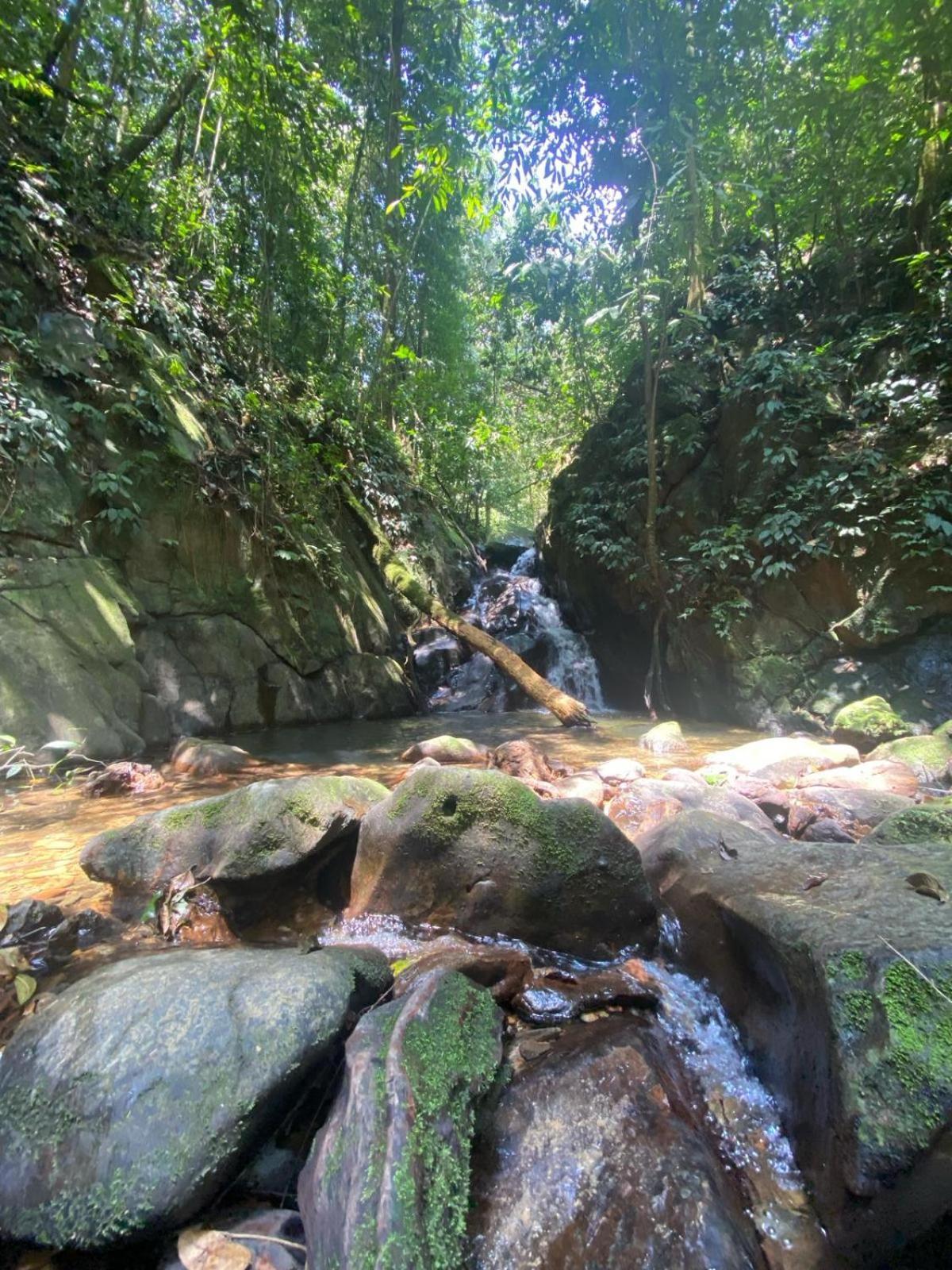 Eco Trekking Lodge, Bar & Jungle Tour'S Bukit Lawang Exterior photo
